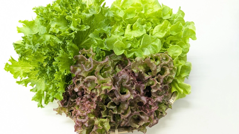 食べチョク出店